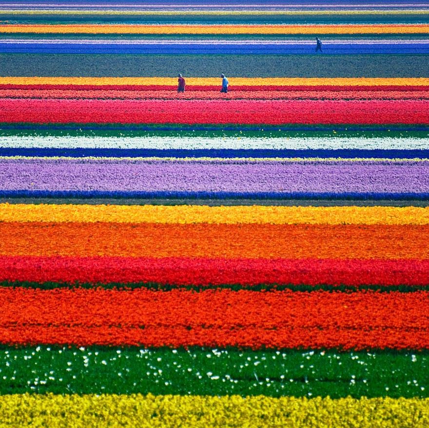 Muhteşem manzaralar (2)