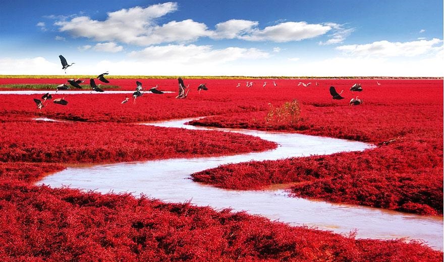 Muhteşem manzaralar (20)